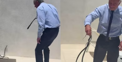 Se viraliza vídeo del secretario de Salud de EEUU capturando dos serpientes con la mano