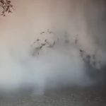 ¡Sorprendente! Brota un géiser en el patio de una vivienda en México