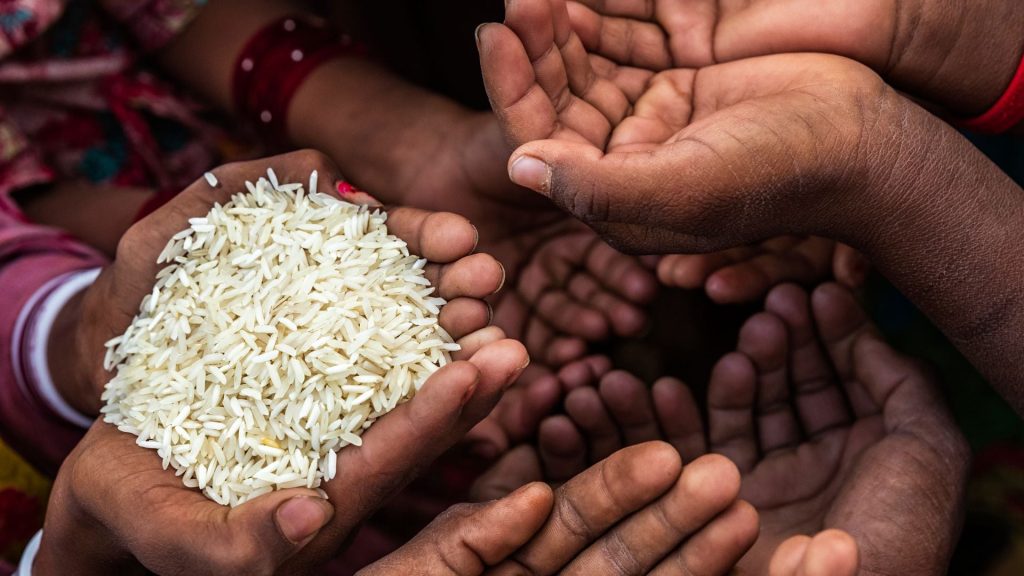 Día del Hambre: Más de 2.400 millones de personas quedan fuera del sistema alimentario básico en el mundo