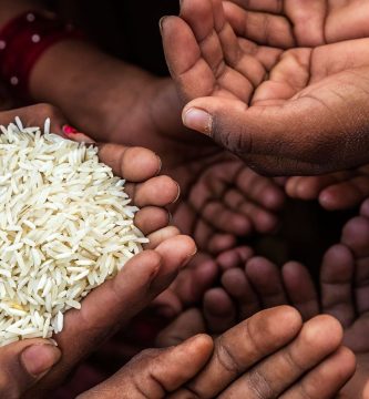 Día del Hambre: Más de 2.400 millones de personas quedan fuera del sistema alimentario básico en el mundo