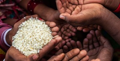Día del Hambre: Más de 2.400 millones de personas quedan fuera del sistema alimentario básico en el mundo