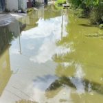 VIDEO: Residentes denuncian insalubridad por aguas estancadas en Moca