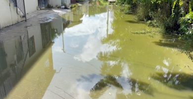 VIDEO: Residentes denuncian insalubridad por aguas estancadas en Moca
