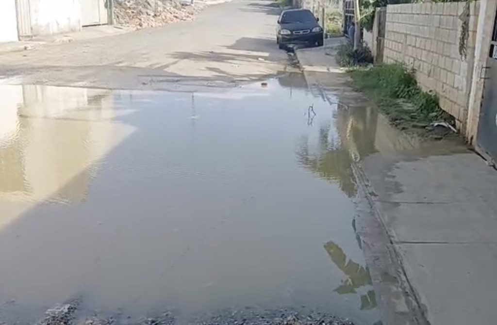 En Los Jardines del Centenario, SDE, denuncian aguas estancadas desde meses en SDE
