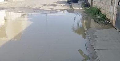 En Los Jardines del Centenario, SDE, denuncian aguas estancadas desde meses en SDE