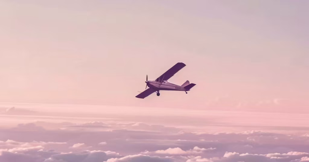 Se estrella avioneta con matrícula de EE.UU. en una zona remota de Guyana