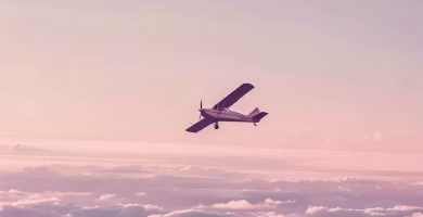 Se estrella avioneta con matrícula de EE.UU. en una zona remota de Guyana
