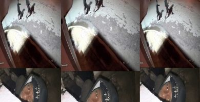 Vecinos de Cancino II aseguran estar desesperados por inseguridad en la zona