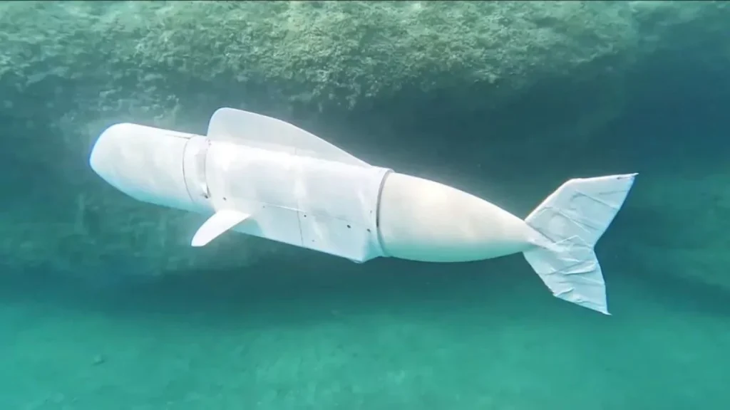 Un robot desvela el secreto de cómo algunos peces pueden desplazarse fuera del agua