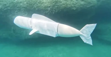 Un robot desvela el secreto de cómo algunos peces pueden desplazarse fuera del agua