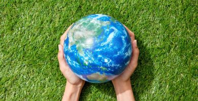 ¡A cuidar el ecosistema! Día Mundial del Medio Ambiente