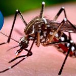 Reportan 10 nuevos casos de dengue en RD