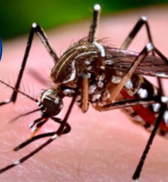 Reportan 10 nuevos casos de dengue en RD