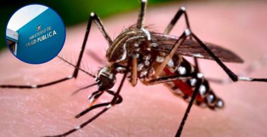 Reportan 10 nuevos casos de dengue en RD