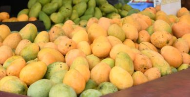 Desde Puntica, Mameyito y Mingolo, ¿con cuál te quedas en Expo Mango 2026?