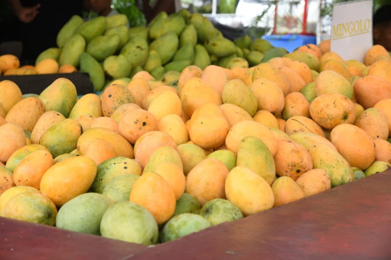 Desde Puntica, Mameyito y Mingolo, ¿con cuál te quedas en Expo Mango 2026?