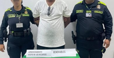 Capturan pasajero que intentó viajar desde Cartagena hacia República Dominicana con dos ardillas ocultas en los genitales