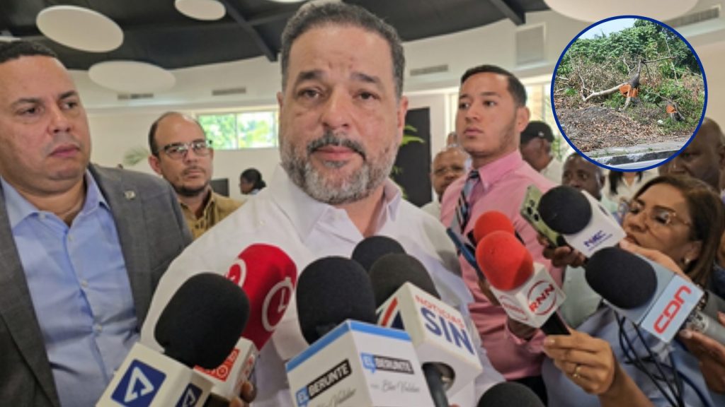 VIDEO: Ministro de Medio Ambiente garantiza plan de reforestación tras tala de árboles en la avenida 6 de Noviembre
