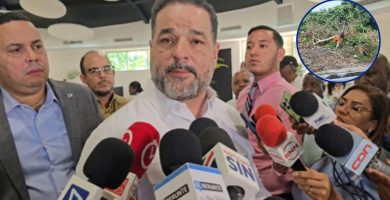 VIDEO: Ministro de Medio Ambiente garantiza plan de reforestación tras tala de árboles en la avenida 6 de Noviembre