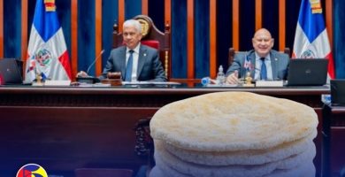 ¡Aprobado el casabe! Senado aprueba en primera lectura ley para desarrollar industria nacional del casabe