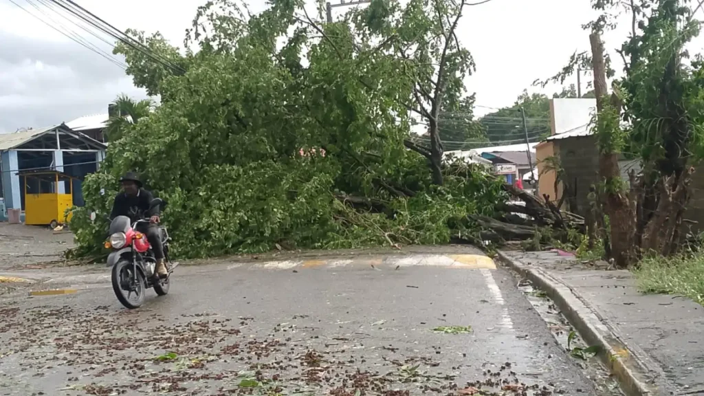 Imágenes de viviendas destechadas y obstrucción de vías por tornado que afectó Loma de Cabrera
