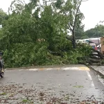 Imágenes de viviendas destechadas y obstrucción de vías por tornado que afectó Loma de Cabrera