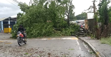 Imágenes de viviendas destechadas y obstrucción de vías por tornado que afectó Loma de Cabrera