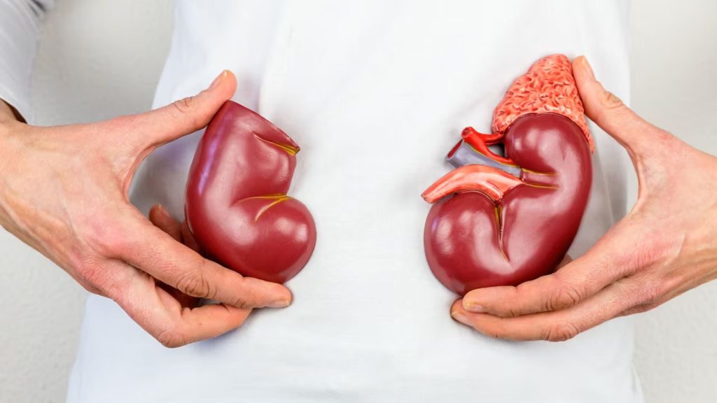 Hoy es el Día Mundial del Cáncer de Riñón