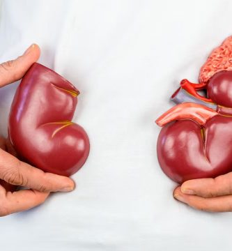 Hoy es el Día Mundial del Cáncer de Riñón