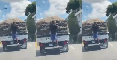 ¡Por una funda! Hombre arriesga su vida al sustraer alimentos de camión en movimiento