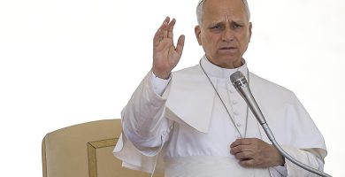 El papa León XVI: Un médico no debería permitirse decidir sobre la vida de un embrión o un anciano