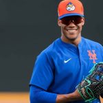 Fanático protagoniza incidente ofensivo contra Juan Soto en juego Mets–Filis