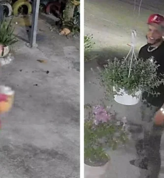 Pareja es captada robando plantas de cafetería de San Francisco de Macorís
