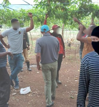 Agricultores denuncian ola de atraco en predios agrícolas en Los Negros de Azua