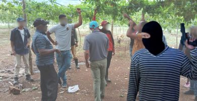 Agricultores denuncian ola de atraco en predios agrícolas en Los Negros de Azua