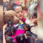 Ternura viral: niña de 5 años duerme animales con canciones de cuna