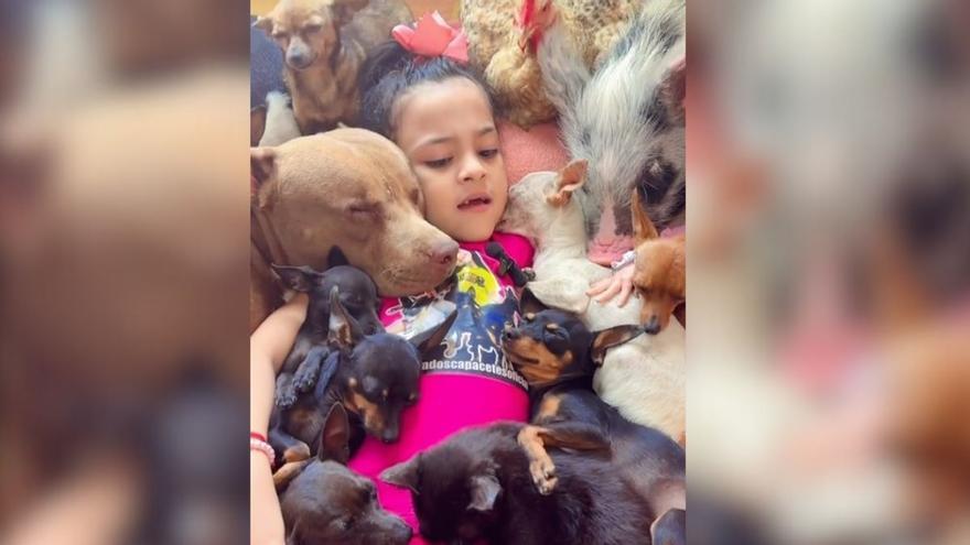 Ternura viral: niña de 5 años duerme animales con canciones de cuna