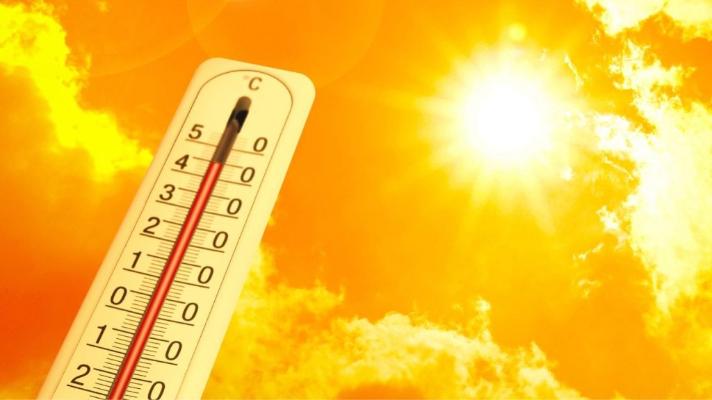 OMS: las olas de calor son una creciente amenaza a la salud, con 500.000 muertes anuales