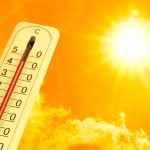 OMS: las olas de calor son una creciente amenaza a la salud, con 500.000 muertes anuales