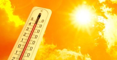 OMS: las olas de calor son una creciente amenaza a la salud, con 500.000 muertes anuales
