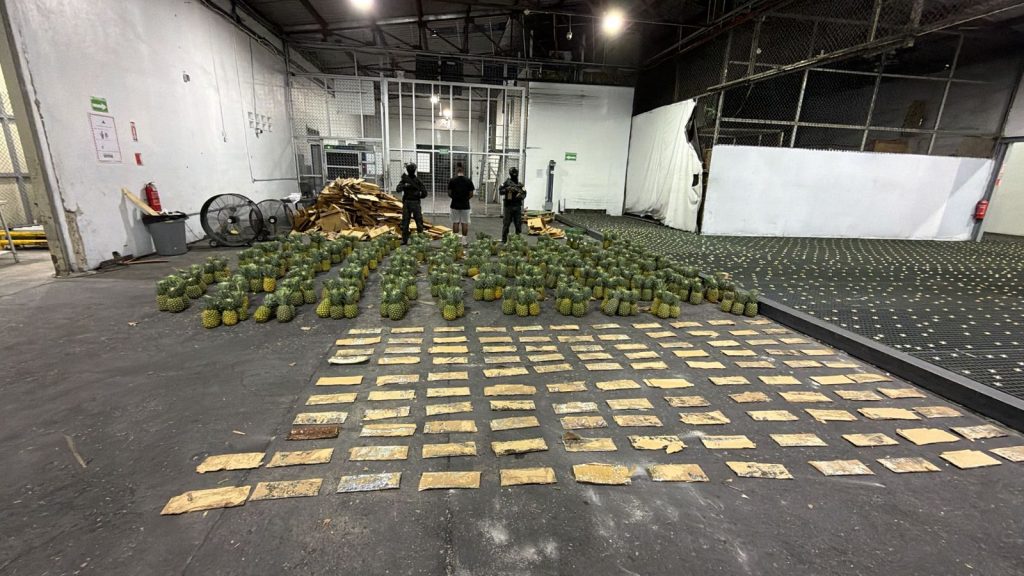 Intervienen carga de piñas con más de 100 láminas de presunta cocaína; arrestan a un hombre