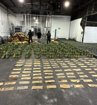 Intervienen carga de piñas con más de 100 láminas de presunta cocaína; arrestan a un hombre