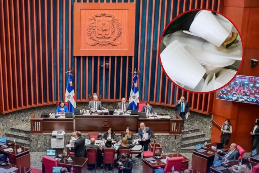 Aprueban de urgencia prohibición de importación y fabricación de productos de foam