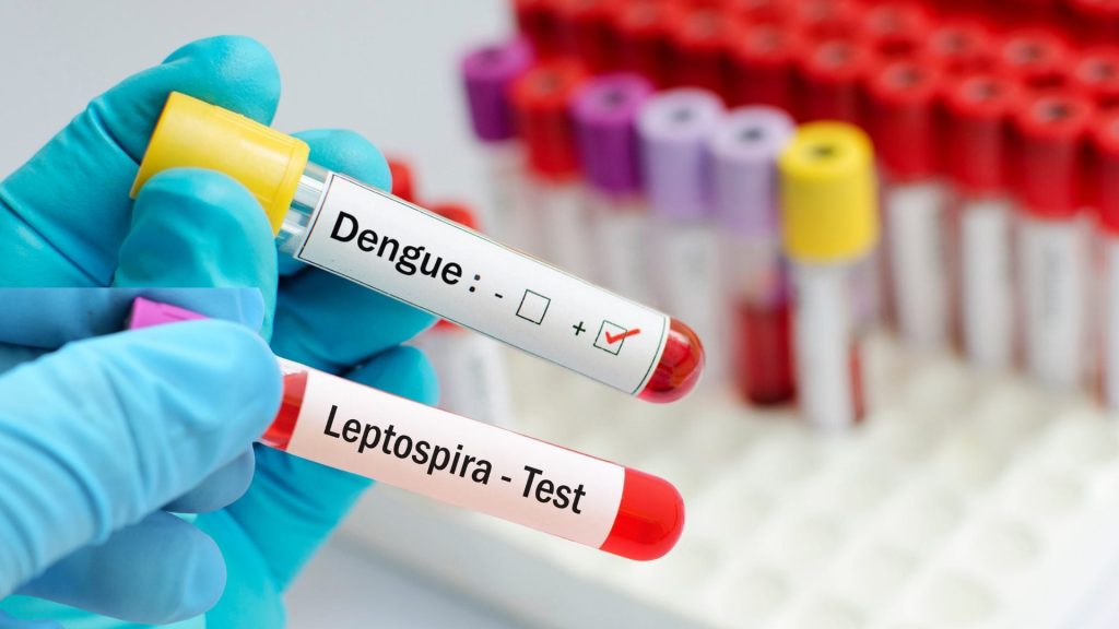 Salud Pública confirma tres nuevos casos de dengue y cuatro de leptospirosis