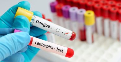 Salud Pública confirma tres nuevos casos de dengue y cuatro de leptospirosis