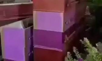 ¡Cuando la ayuda duele! Llegan ataúdes a las zonas devastadas por los terremotos en Venezuela