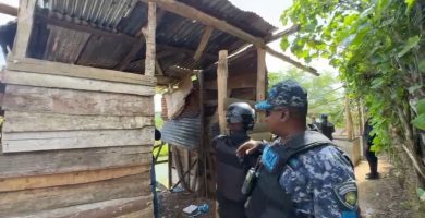 Incautan sustancias y desmantelan una gallera clandestina en la región del Cibao, según DINTEL