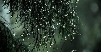 Aguaceros afectarán varias provincias y a la capital antes del mediodía
