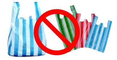 Día Internacional para la Reducción del Uso de las Bolsas de Plástico
