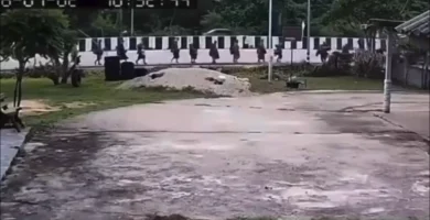 Niño atropella y mata a 10 monjes en Tailandia